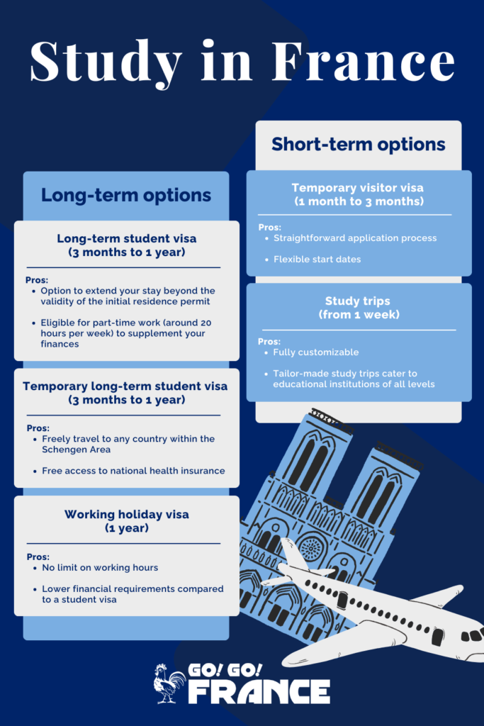 visa france options