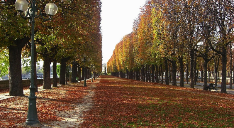autumn in france go to france
